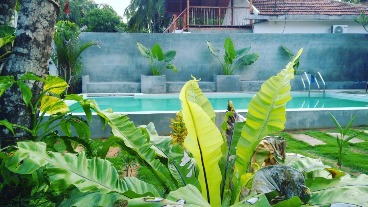 Surf Gangs Arugambay Hotel Arugam Bay Exterior photo